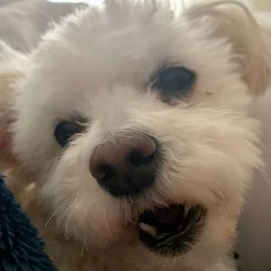 Meet your Posher, Karin